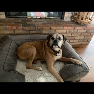 Meet your Posher, James